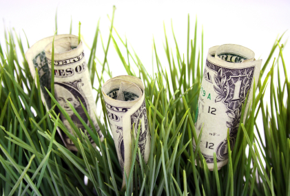 dollar-bills-in-weeds.jpg