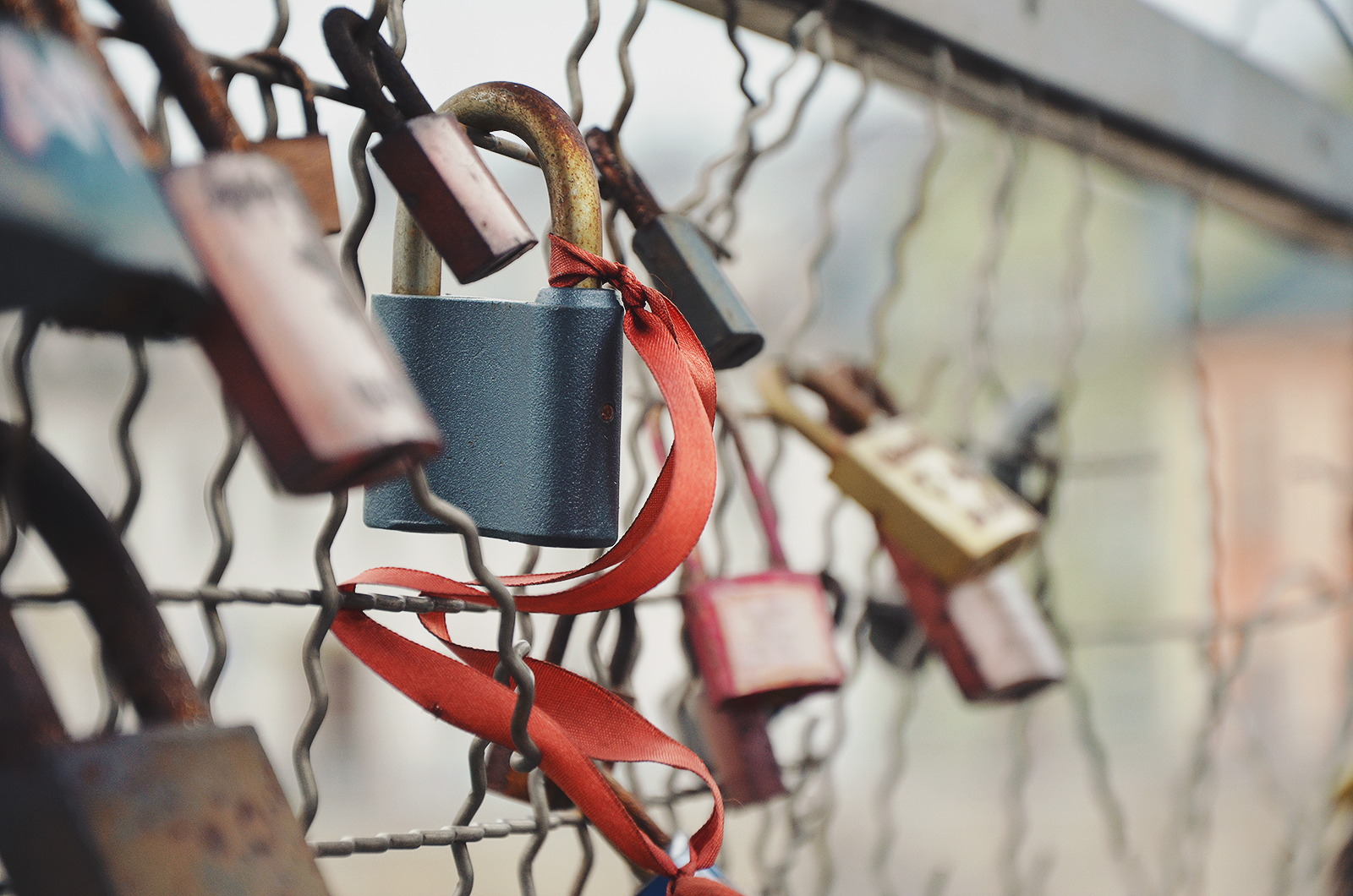 How to Talk to Your Partner About Money: The Script