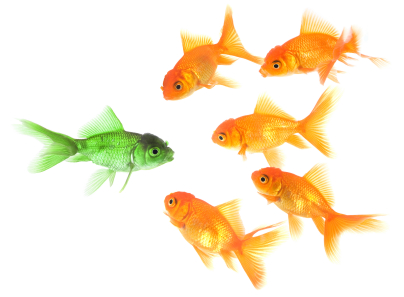 iStock_000006450448XSmall