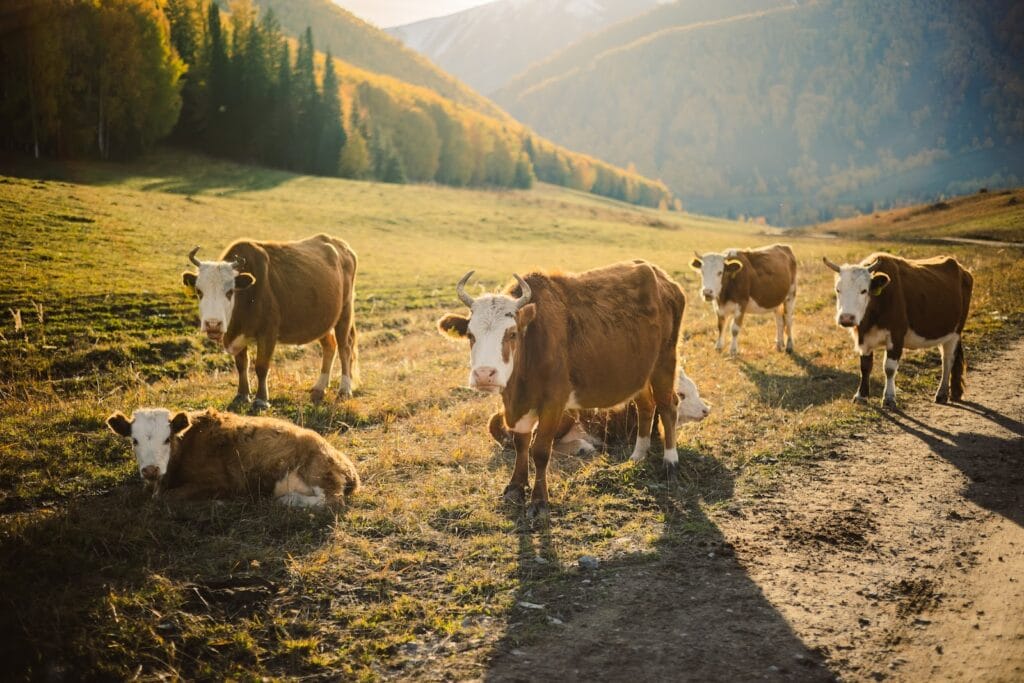 Using Herd Mentality To Your Advantage (+ Real Examples)