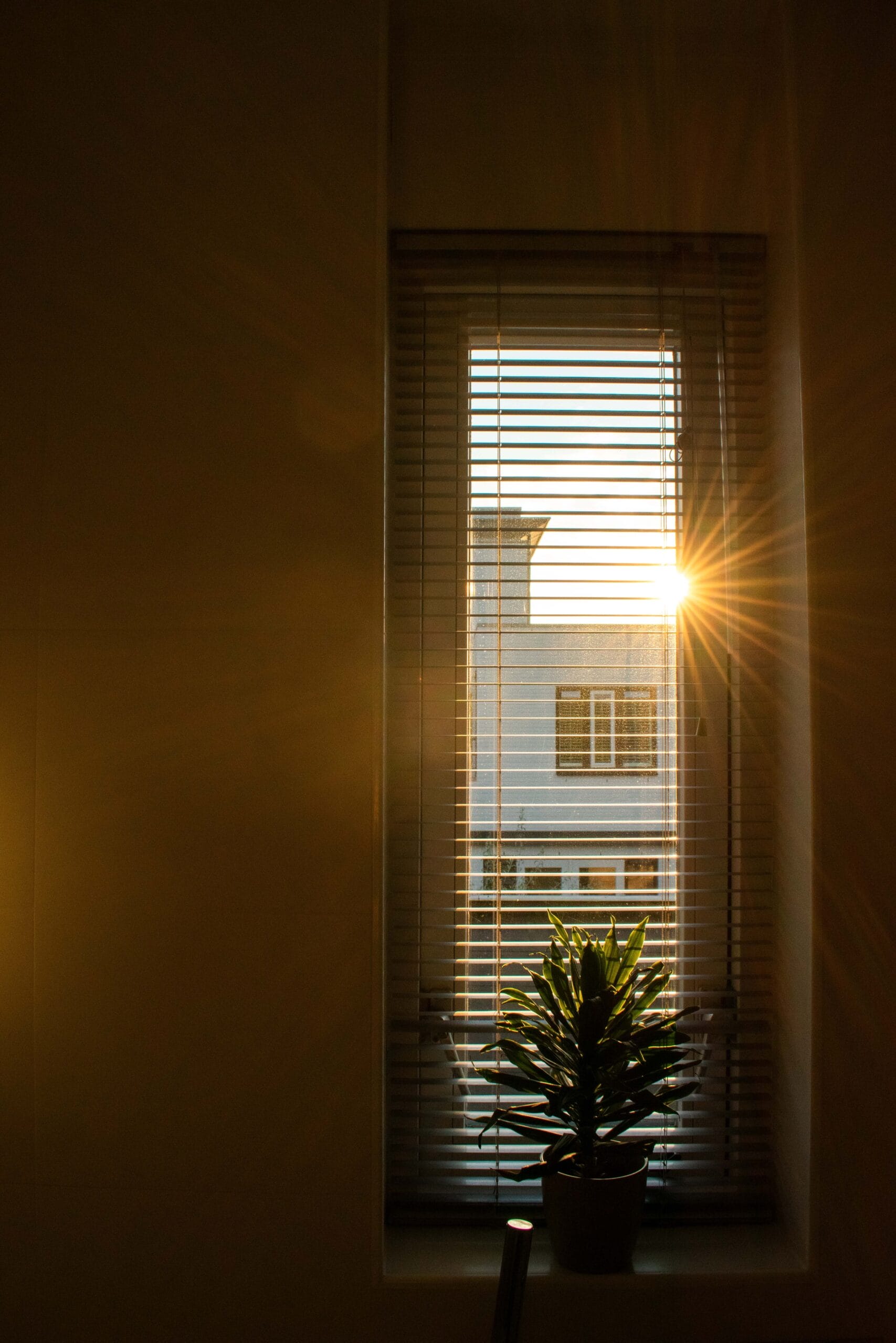 My morning routine isn't guru approved - and that's what makes it perfect for me