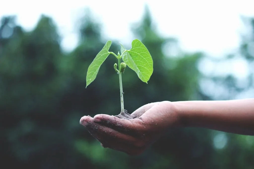 7 Old Money Habits to Adopt for Long-Term Wealth (+ examples)