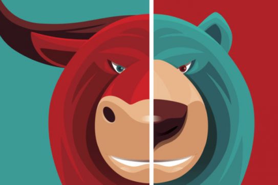 Bull Market vs Bear Market Cover