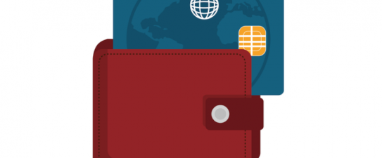 Credit Card In Wallet Vector Graphic